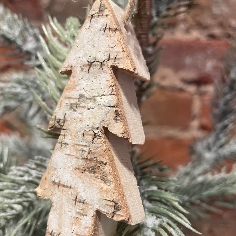 3” Birch Bark Tree Shaped Orn Box Set of 6