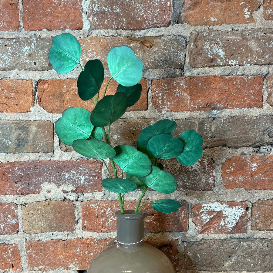 Silver Dollar Eucalyptus Spray 8.25"
