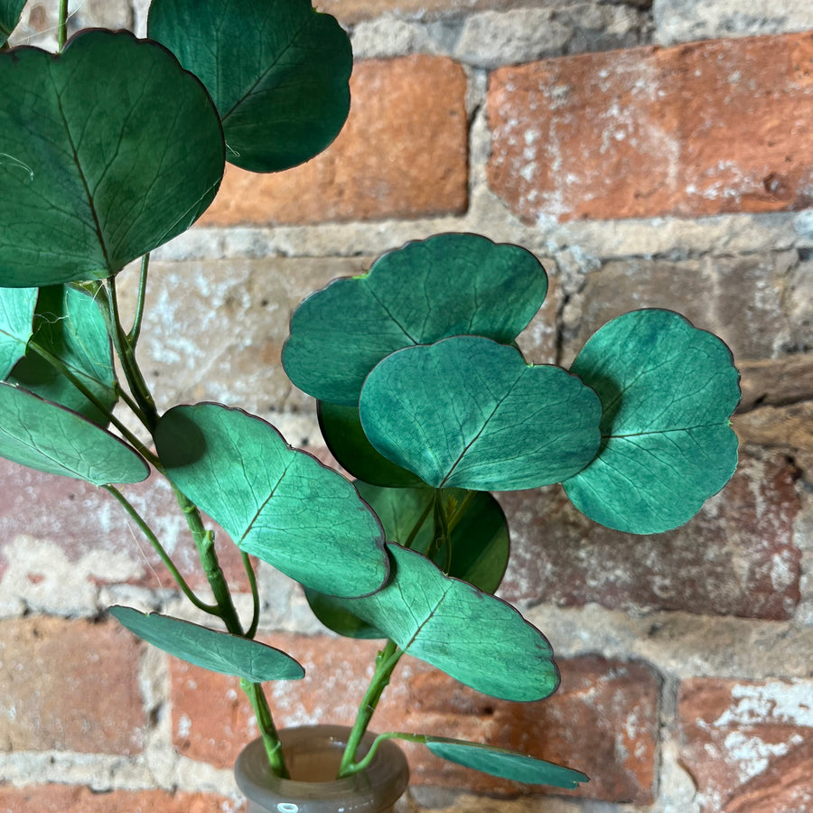 Silver Dollar Eucalyptus Spray 8.25"