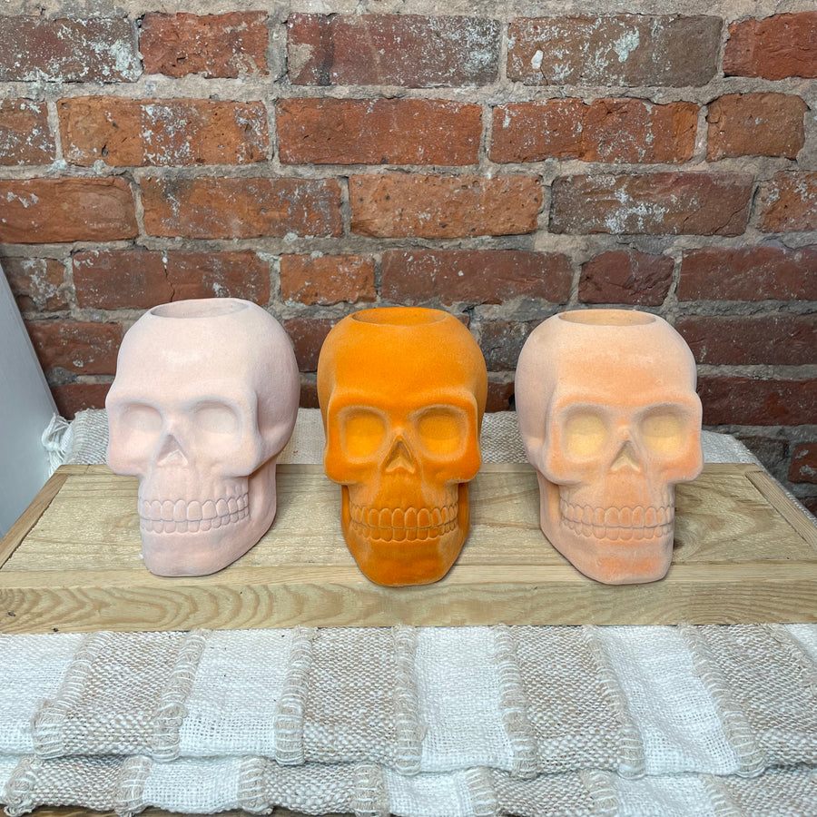 Resin Flocked Skull Container 6.75x6”