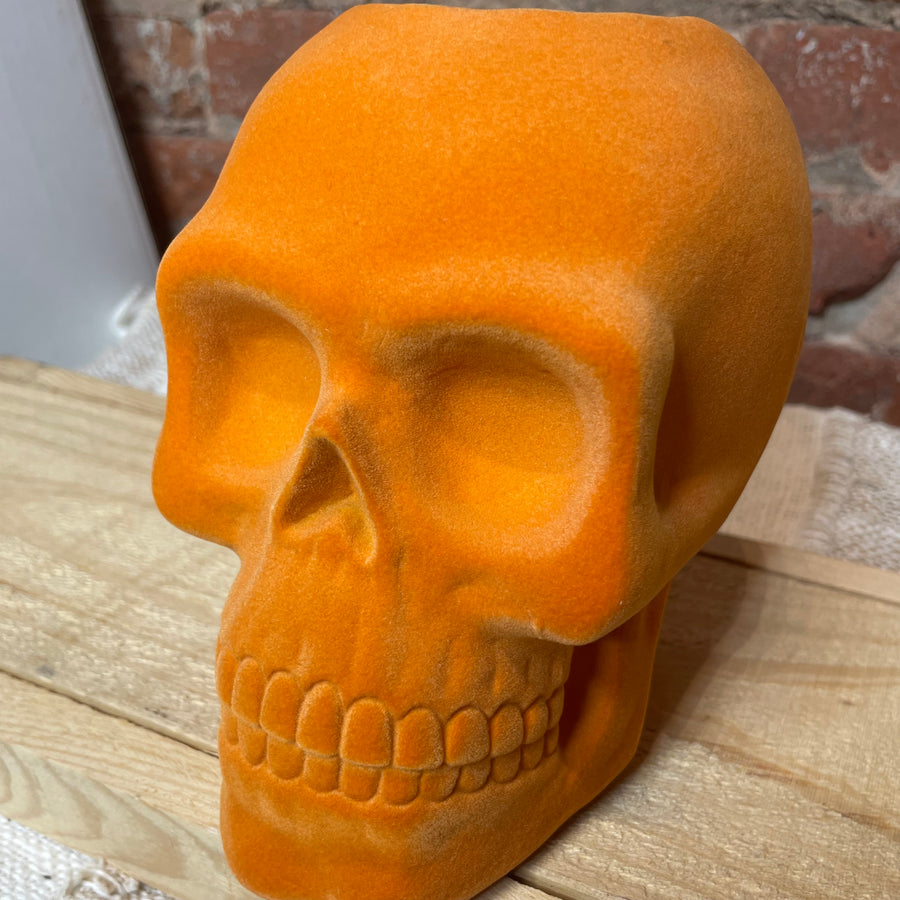 Resin Flocked Skull Container 6.75x6”