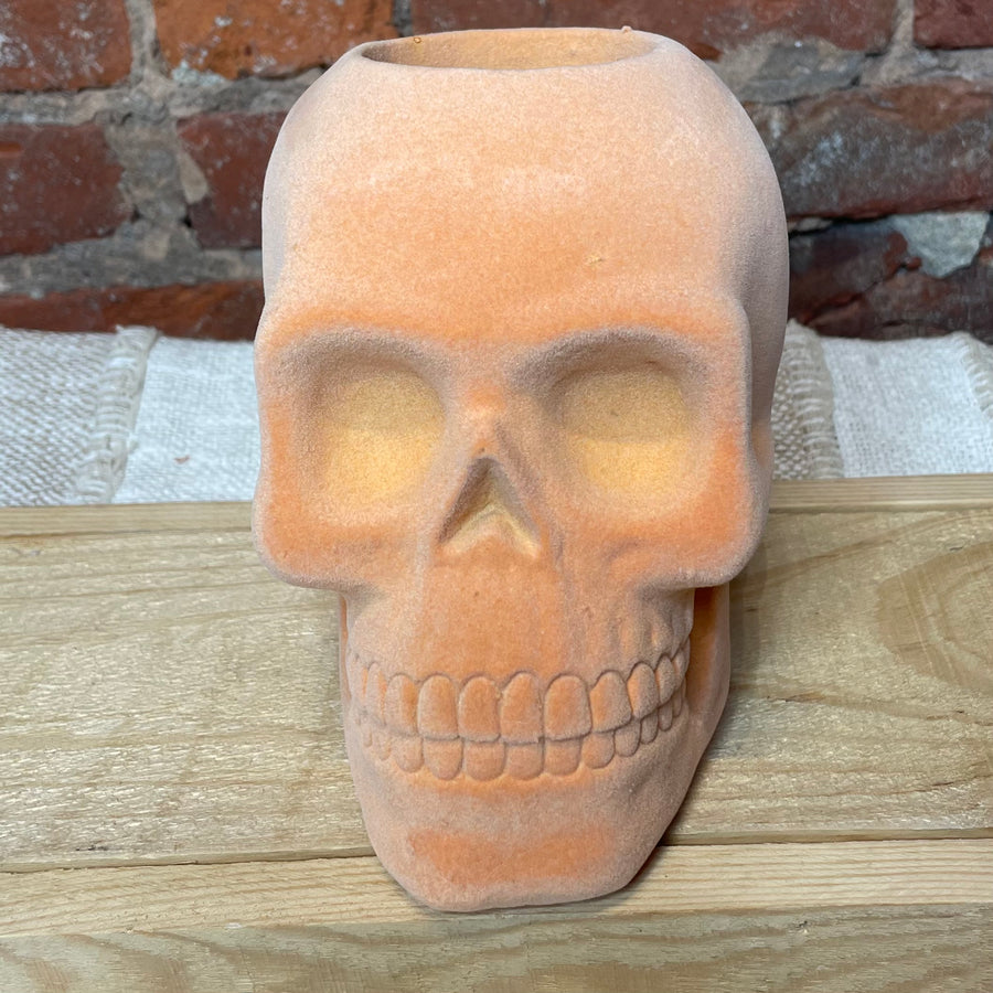 Resin Flocked Skull Container 6.75x6”