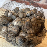 Bag of 75 Cream Wood Acorns 1”