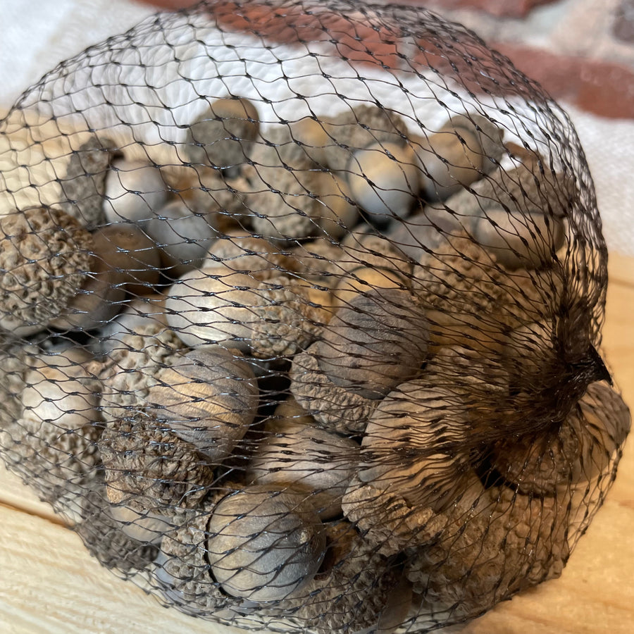 Bag of 75 Cream Wood Acorns 1”