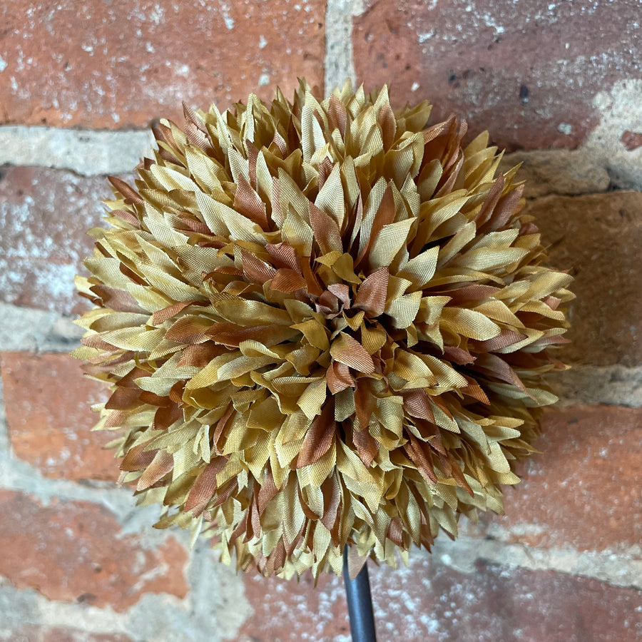 Brown Allium Stem 31”