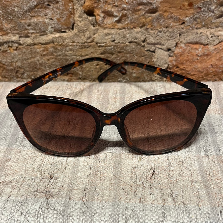 Rounded Wayfarer Sunglasses