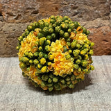 Kalanchoe Ball 4"