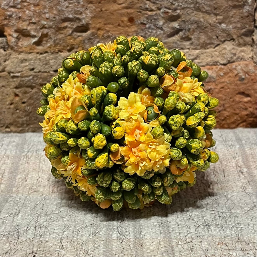 Kalanchoe Ball 4"