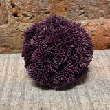 Sedum Ball 4"