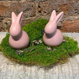 Moss Pad 11x7"
