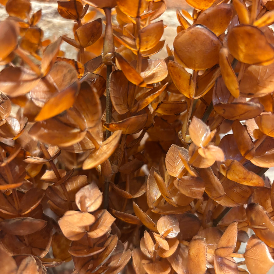Cinnamon Spice Autumn Eucalyptus Bush 16"