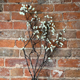 Wild Cream Currant Berry Spray 31”