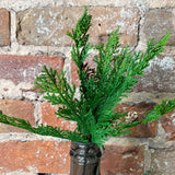 Soft Green Cedar Pick w/ Mini Pinecones 11”