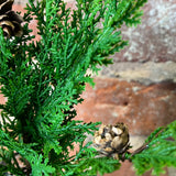 Soft Green Cedar Pick w/ Mini Pinecones 11”