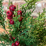 Soft Green Cedar Bush w/ Red Berries 17”