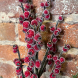 Crystal Iced Red Beaded Berry Pick 12”