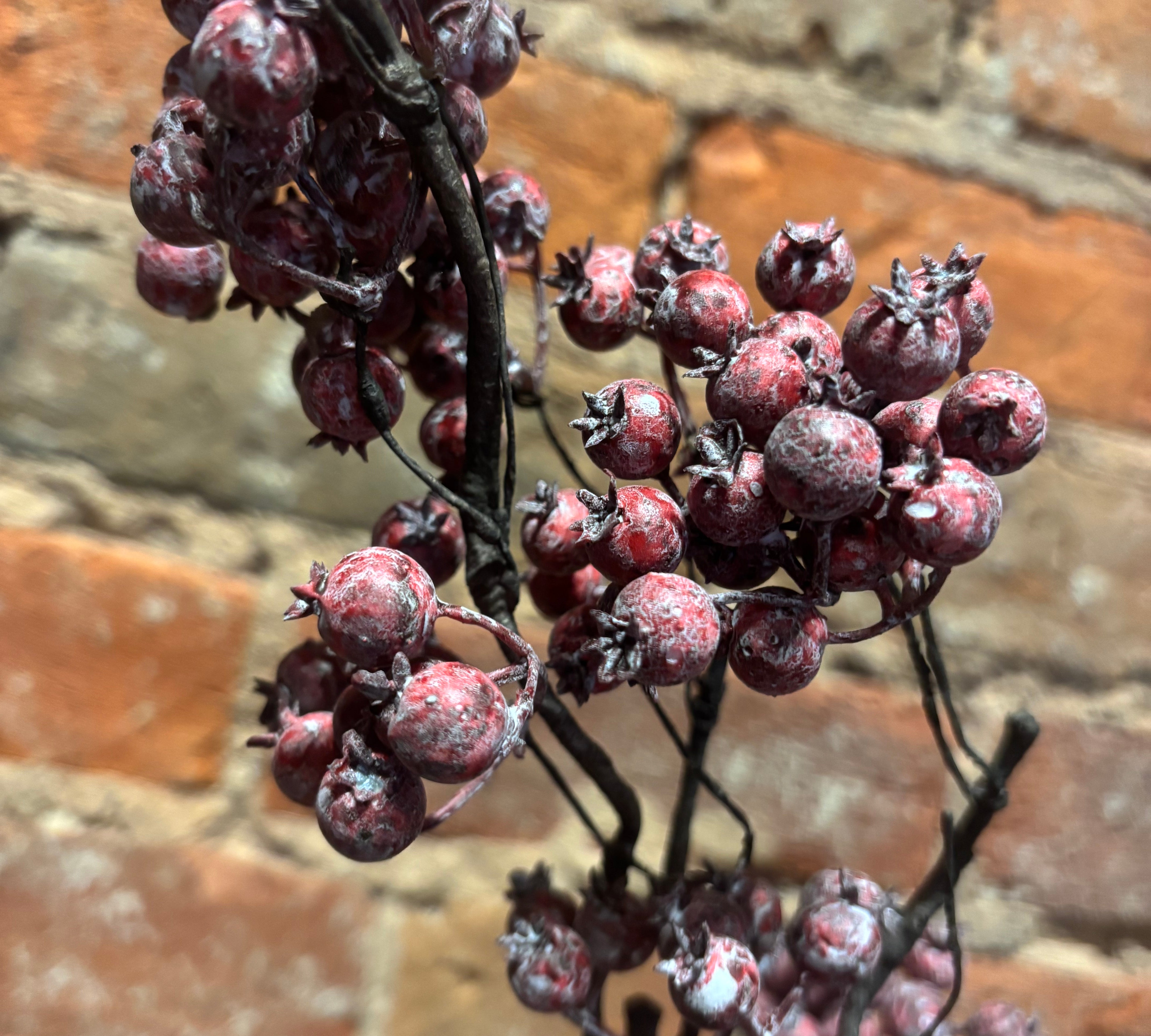 Washed Wild  Currant Berry Spray 26”