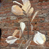 Candlelight  Cream Hydrangea Leaf Spray 41”