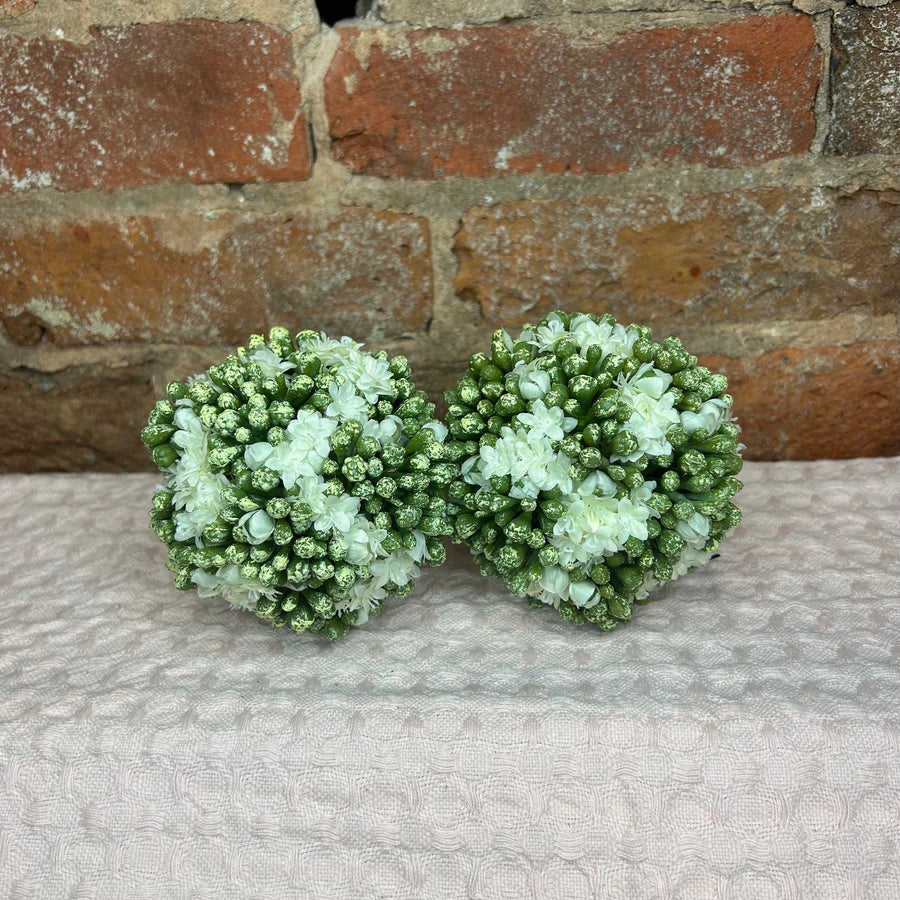 Kalanchoe Ball 4"