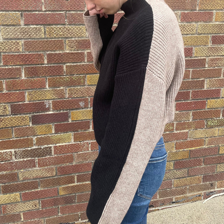 Two Tone Turtleneck Sweater