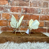 Resin Gold/White Butterfly