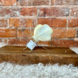 Resin Gold/White Butterfly