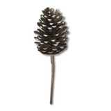 Natural Pinecone Pick 12.5”