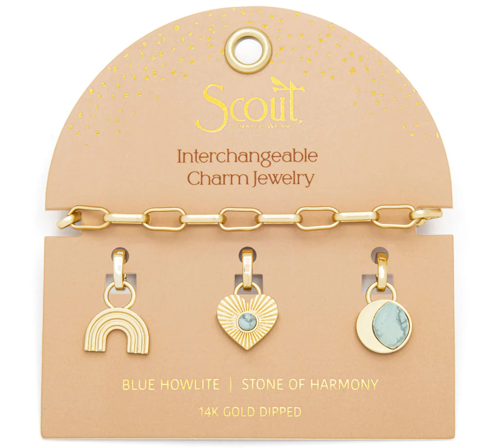 Interchangeable Charm Bracelet