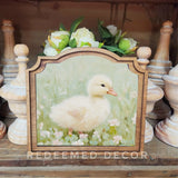 Provincial Fluffy Duckling Sign 9x10"