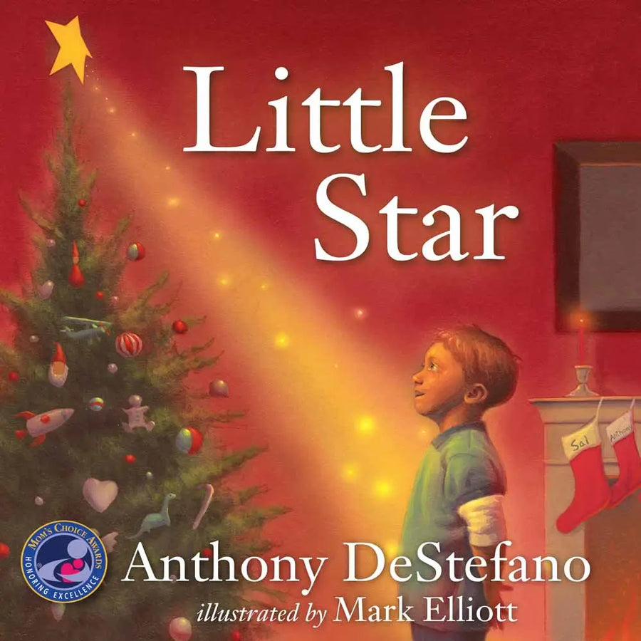 Little Star Book