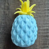 Squishy Pineapple NO RETURNS!!