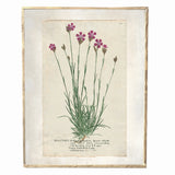 Vintage Spring Pink Floral Print 10.5x14"