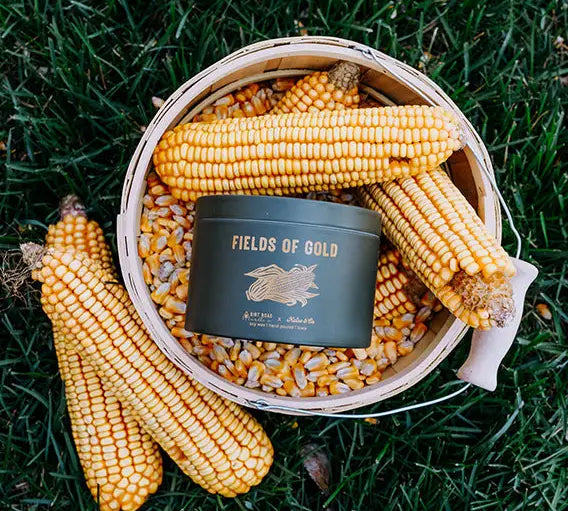 Dirt Road + Kelso Co Tin Candle
