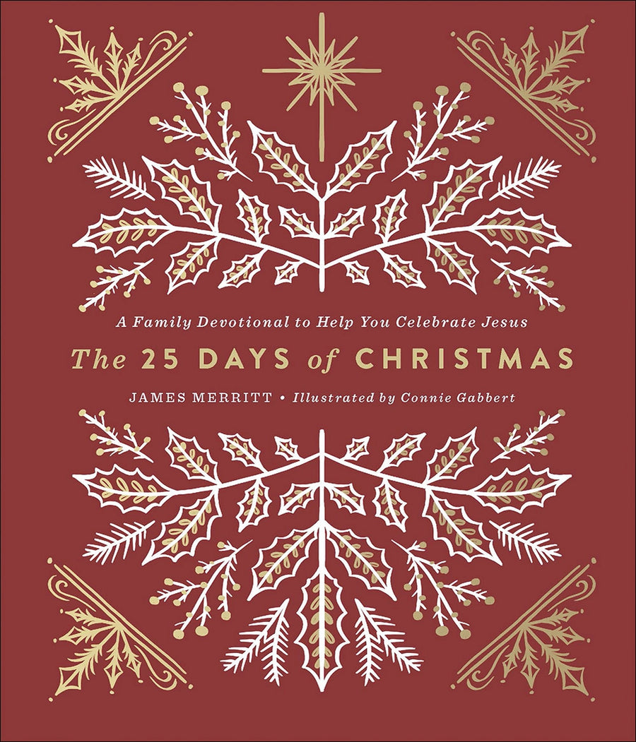 The 25 Days of Christmas Book