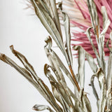 Sage River Grass Bundle 45"