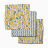 Geometry Dishcloth Set