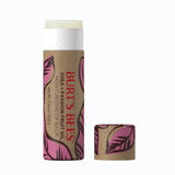 Burts Bees Moisturizing Lip Balm in Paper Tube