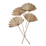 Sun Spear Stick 23"