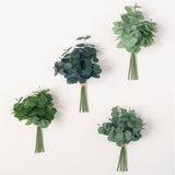 Mini Eucalyptus Bundle 13"
