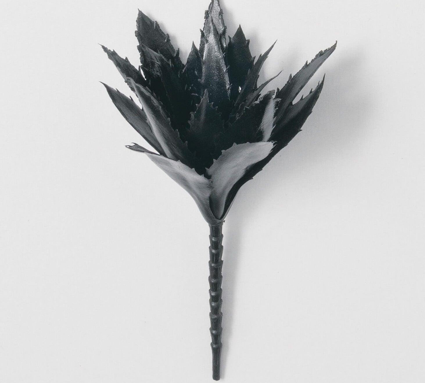 Black Succulent Pick 10in - MarketPlaceManning