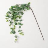 Soft Green Eucalyptus Drop Stem 44”