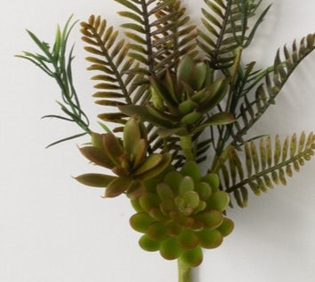 Succulent Fern Pick 14in