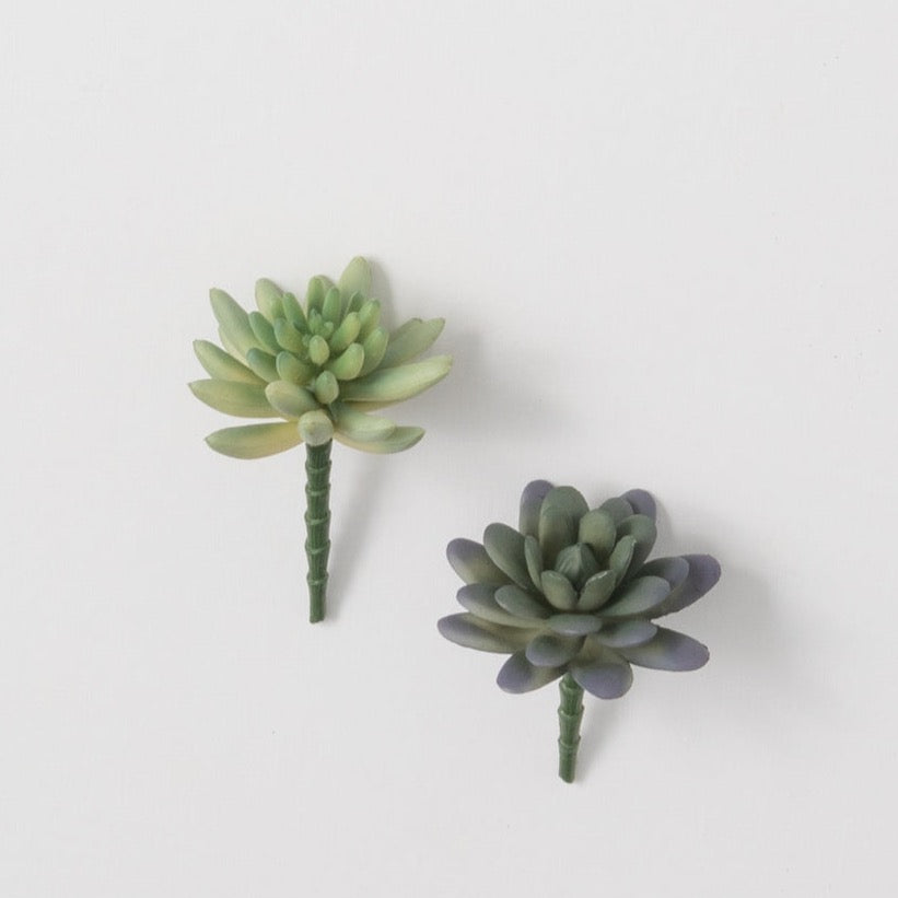 Ombre Succulent Pick 2.75