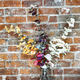 Fall Eucalyptus Leaf Stem 28.5”