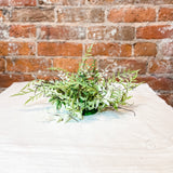 Fern Twig Half Orb 12"