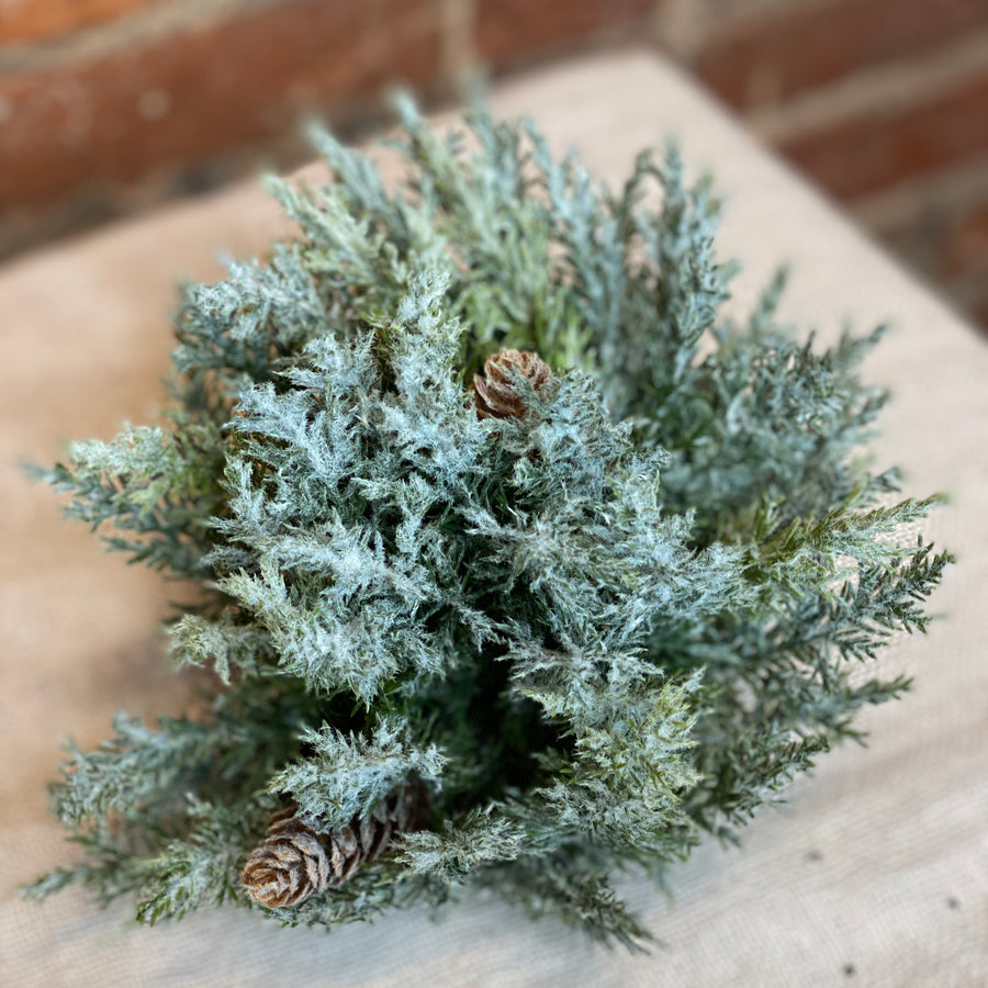 Prickly Pine Half Orb 6.5”