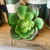 Green Flower Succulent Pick