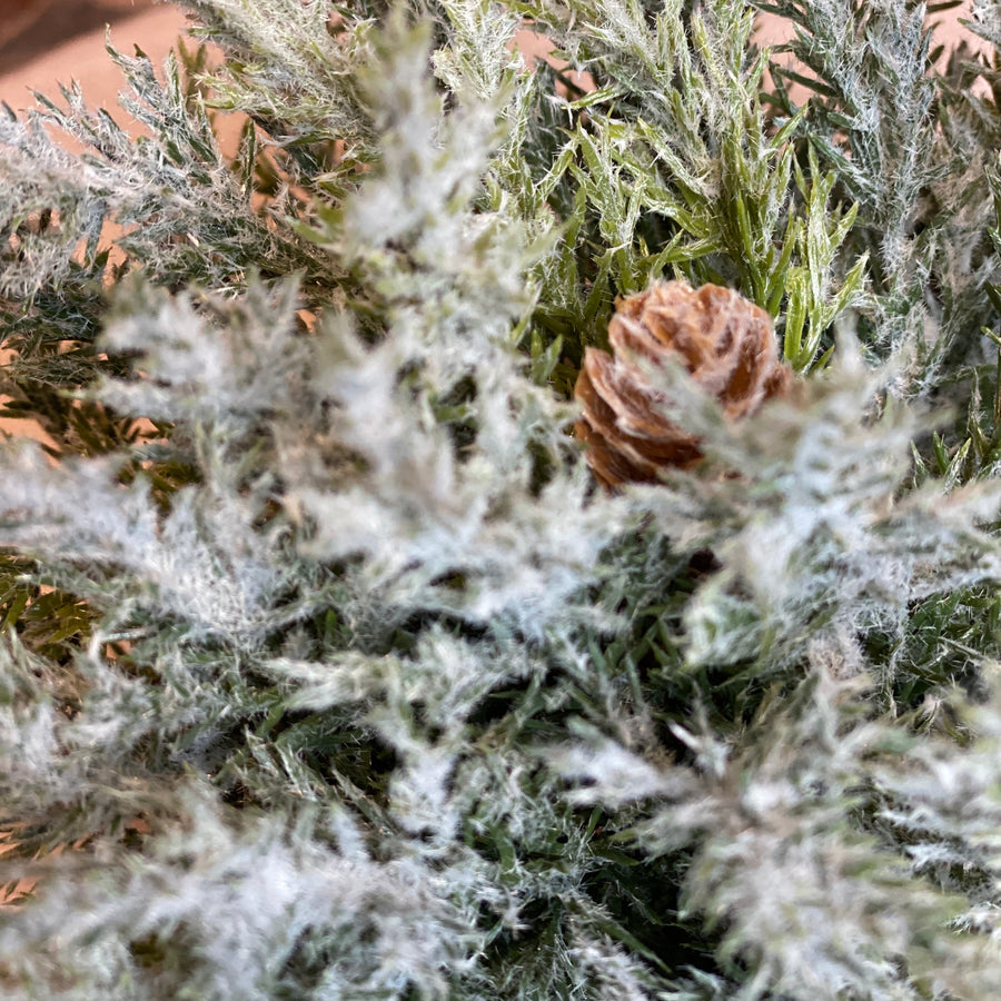 Prickly Pine Half Orb 6.5”
