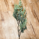 Mountain Green Fern Spray 45in