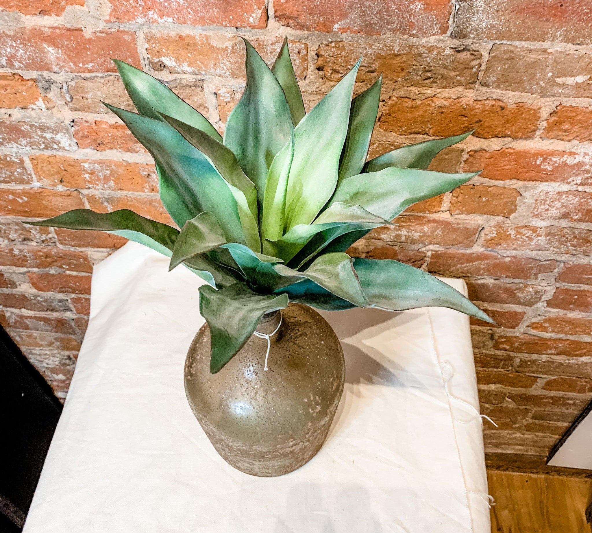 Agave Plant Pick 10.5" - MarketPlaceManning